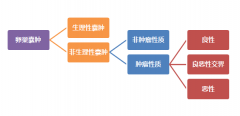 卵巢囊肿，到底是个什么东西？