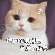 有过房事？最快几天能查出早孕？原来